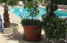 Casa di Lu’ - Foto 48