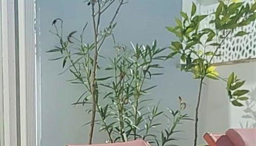 Entre Catedrales Terrace - Photo 5