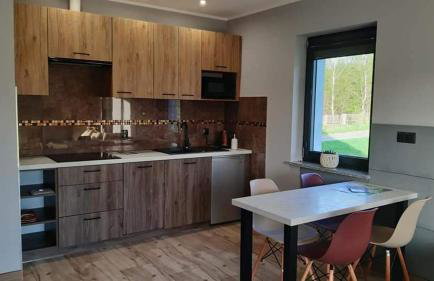 Apartamenty Malinówka pod Śnieżką - Foto 29