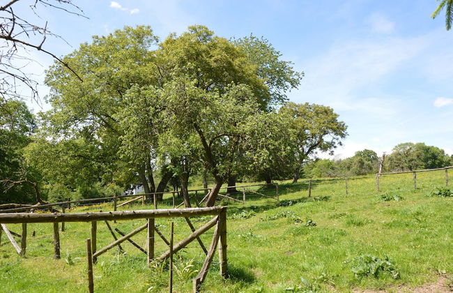 Family Villa in Ferrieres - Foto 18