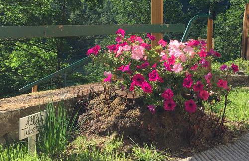 La casa del Tiglio - Foto 25