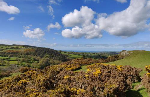 Hapus Yurt - Two Beautiful Yurts and Barn Cottage - Foto 49