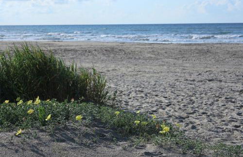 Zachary Beach House, Ocean views & walk to beach! - Foto 22