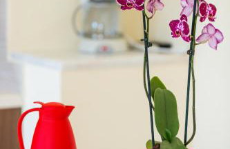 Eleonas Apartments - Foto 36