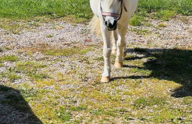 la vallée du paradis studio avec balnéothérapie en campagne - Foto 46