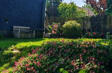 Ferienhaus VILLA ZAUBERBLICK am Rennsteig Frankenwald FREISTEHEND naturnah HUNDEFREUNDLICH eingezäunt - Foto 56