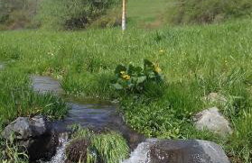 Ferienwohnung Birke - Photo 24