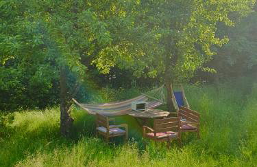 Królewska Sielanka - Foto 18