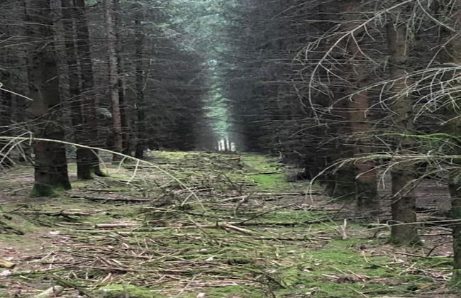 Chalet in Belgium With Stunning Views - Foto 29