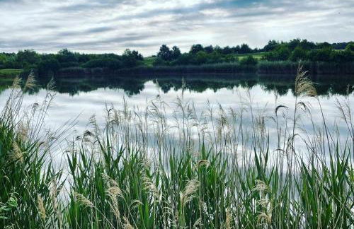 Luxus_SPA_EG_Fewo AQUAMARIN _WE 1_ - Foto 31