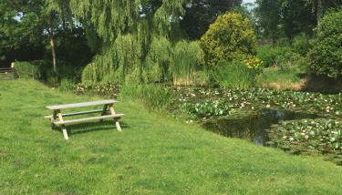 Seerosenhof - Foto 5