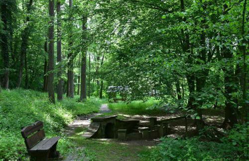 Ferienwohnung Abspanne - Foto 11