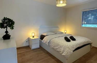 Magnifique appartement à la frontière suisse - Foto 18