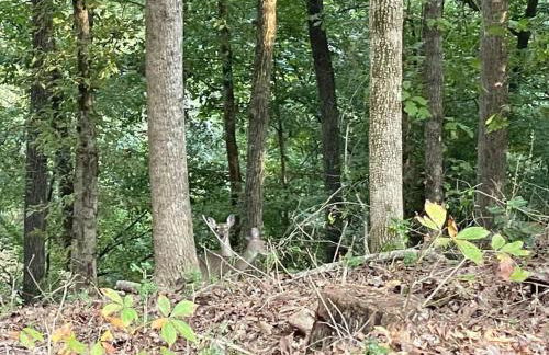 Large Luxury House, King Beds and More, Hot Tub, Theater, Fireplace, Game Room, Ping-pong, Pool Table, Air Hockey, Arcade, River, Big Kitchen, Nice Porch, Quiet, Good for Families and Large Groups, Near UGA Golf Course, Close to UGA & Stanford Stadium - Photo 35