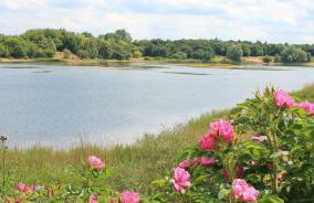 Sonnenschein - Foto 27