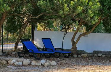 Meu Moinho - Foto 13