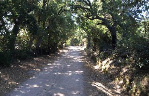 Eco Lodge nella natura Con Piscina privata "La Grande Quercia" - Foto 57