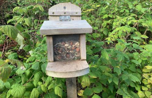 Red Squirrel Pod with Hot Tub - Foto 28