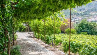 Casa de São Bernardo by LovelyStay - Photo 3