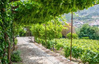 Casa de São Bernardo by LovelyStay - Foto 3