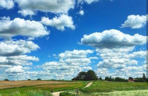 W starej szkole - agroturystyka - Foto 61