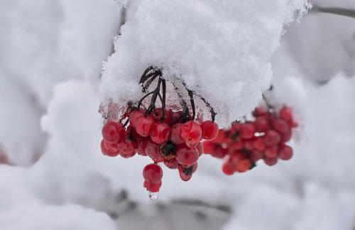 Anielskie Wzgórze Domek z Widokiem & Kuźnia Skarbów - Foto 52