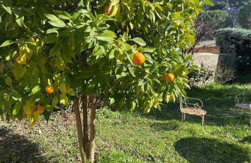 L'oranger - Foto 27