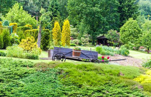 Agroturystyka Wzgórze Magnolii - Foto 17