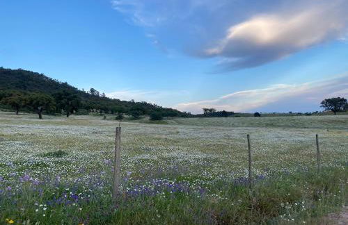 Monte da Esperança - Foto 7