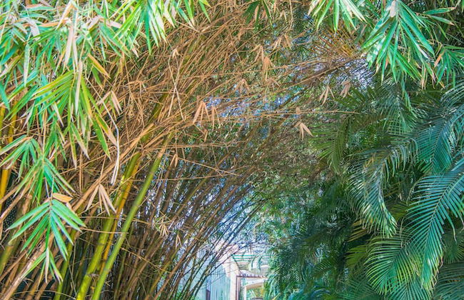 Halcyon Hotel Residences - Bangalore - Foto 39