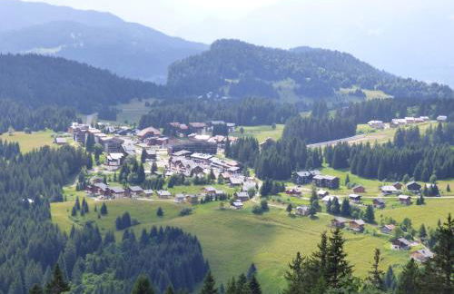 Le Génépi - Foto 19