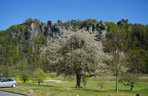 Ferienwohnung Familie Frank - Foto 51