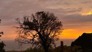 Casas do Amarelo - Photo 4