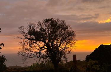 Casas do Amarelo - Photo 4