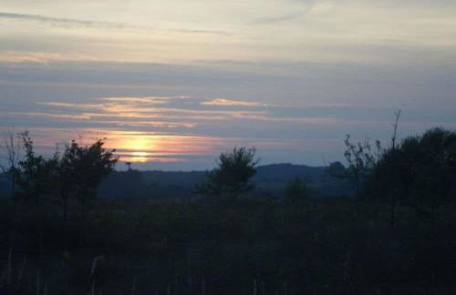 Reethus Starkikker - Foto 32