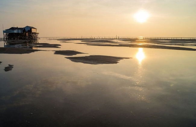 Holidays in Happiness - Foto 17