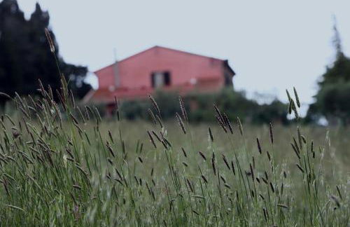 Podere Quercia al Santo - Foto 28