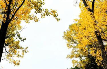 Alojamiento Rural Los Gancheros - Foto 66