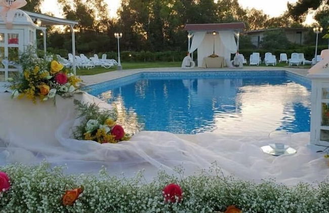 Le Terre di San Domenico - Photo 45