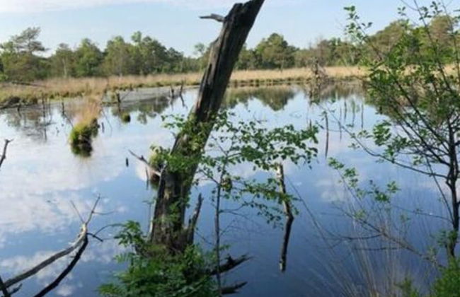 Holiday Home Osteland - Foto 4