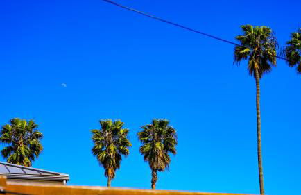 Cozy private Guest House - Foto 42