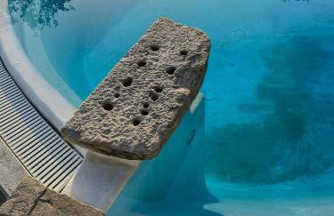 Tenuta Santojanni - Irpinia - Foto 47