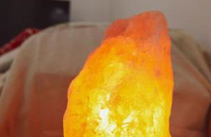 La tana di Pumba - Foto 18