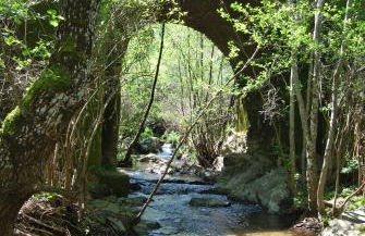 El Alojamiento Rural de Peter - Foto 40