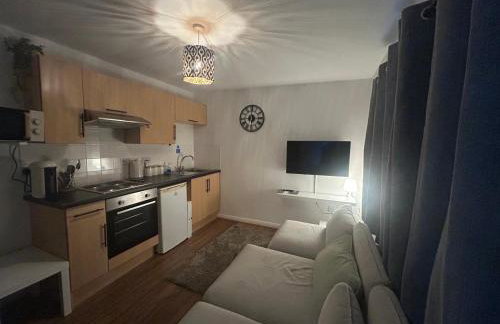 Canal Apartments, Canal View, Temple Meads station - 10 minutes - Foto 6