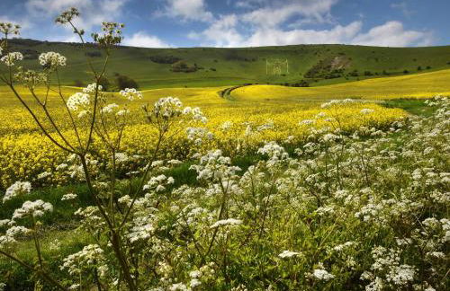 The Hive - Uk44558 - Foto 8