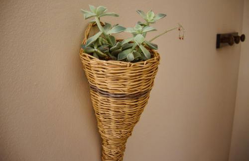 Agriturismo con cucina Il Favaio - Foto 54