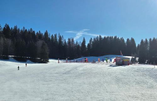 Appartement au pied des pistes, Les jouvencelles - Foto 6