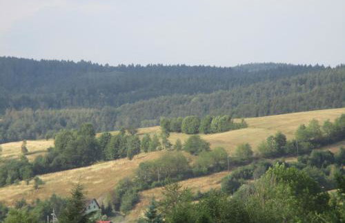 Ranczo pod Klimoską - Photo 38