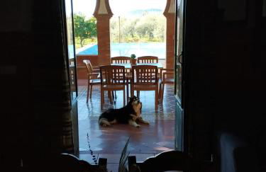 Casa Rural San Antonio - Foto 59